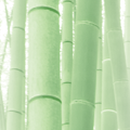 SETSU SHIN - TOCCARE LO SPIRITO